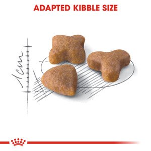 ROYAL CANIN® Sensible 33 400g
